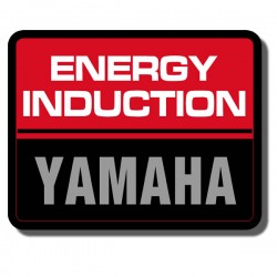 Energy Induction Decal Yamaha YTZ250 Tri Z 85-86