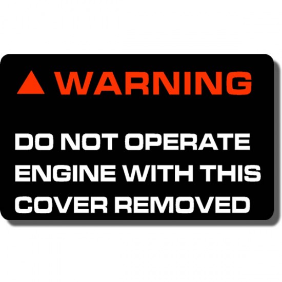 Pulley Cover Decal FL250 Odyssey 77-84
